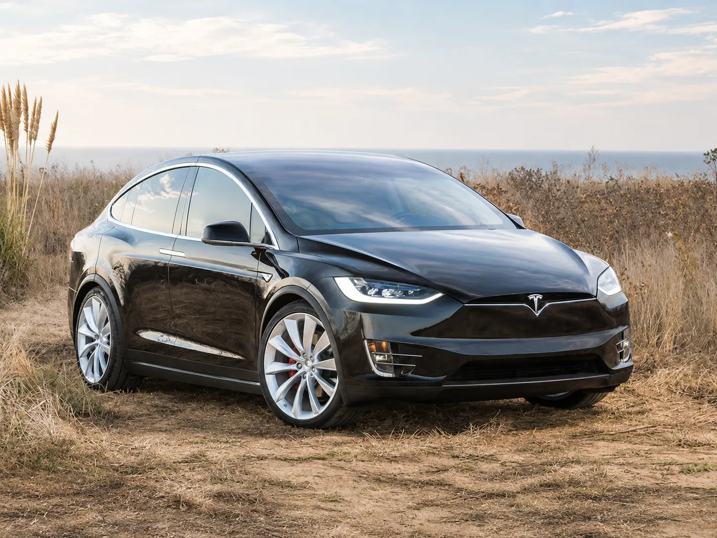 Model X