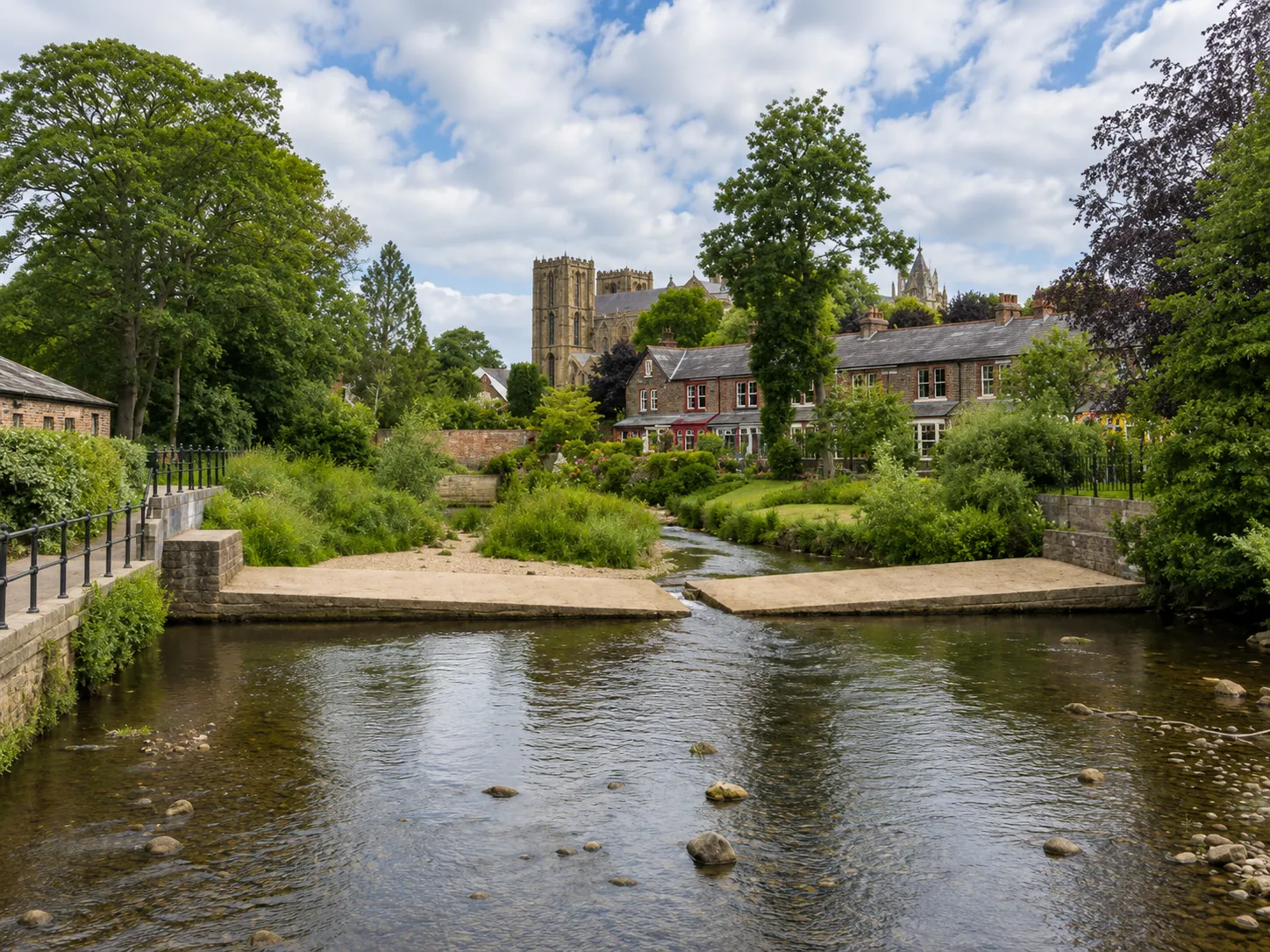 Ripon2