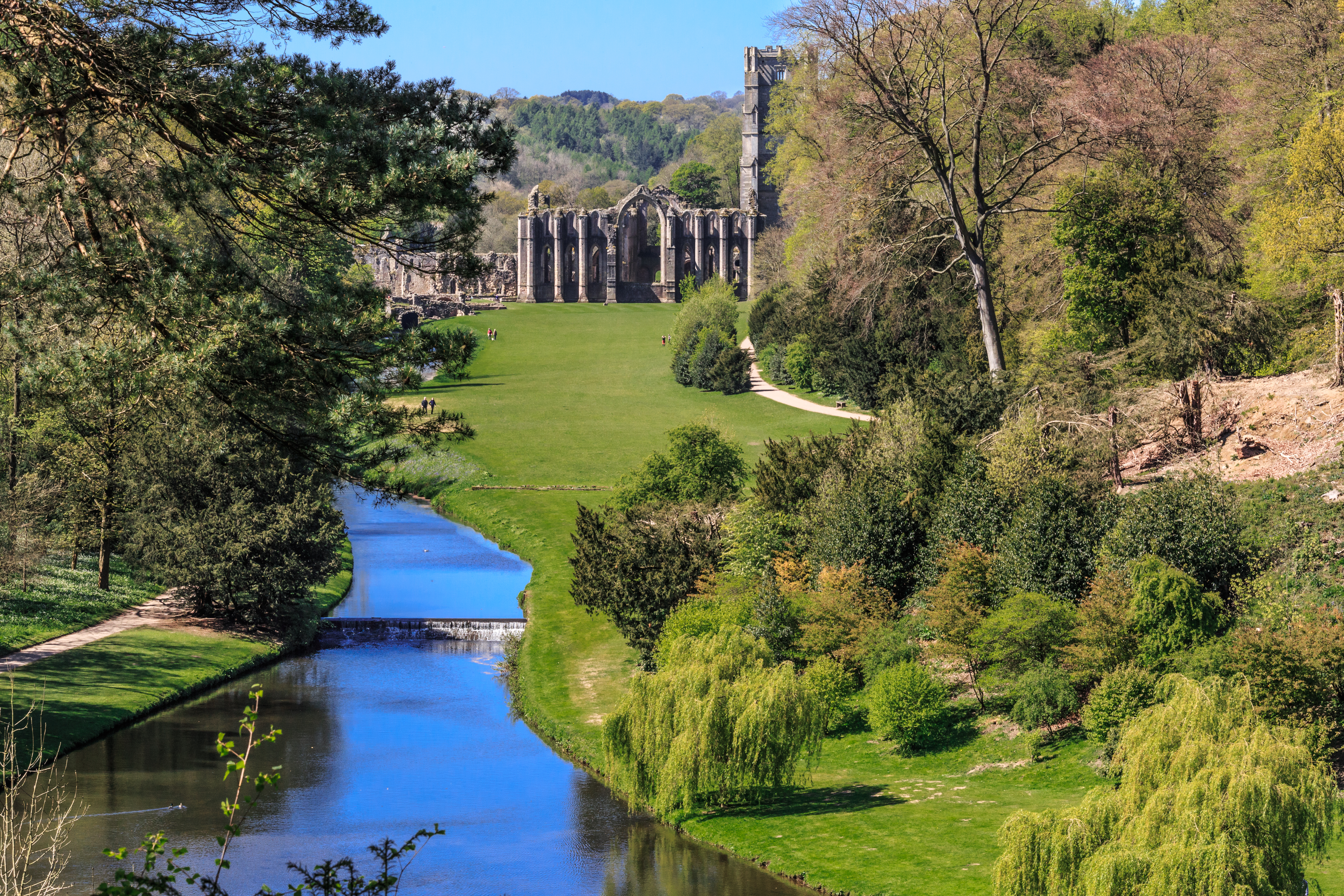 Ripon