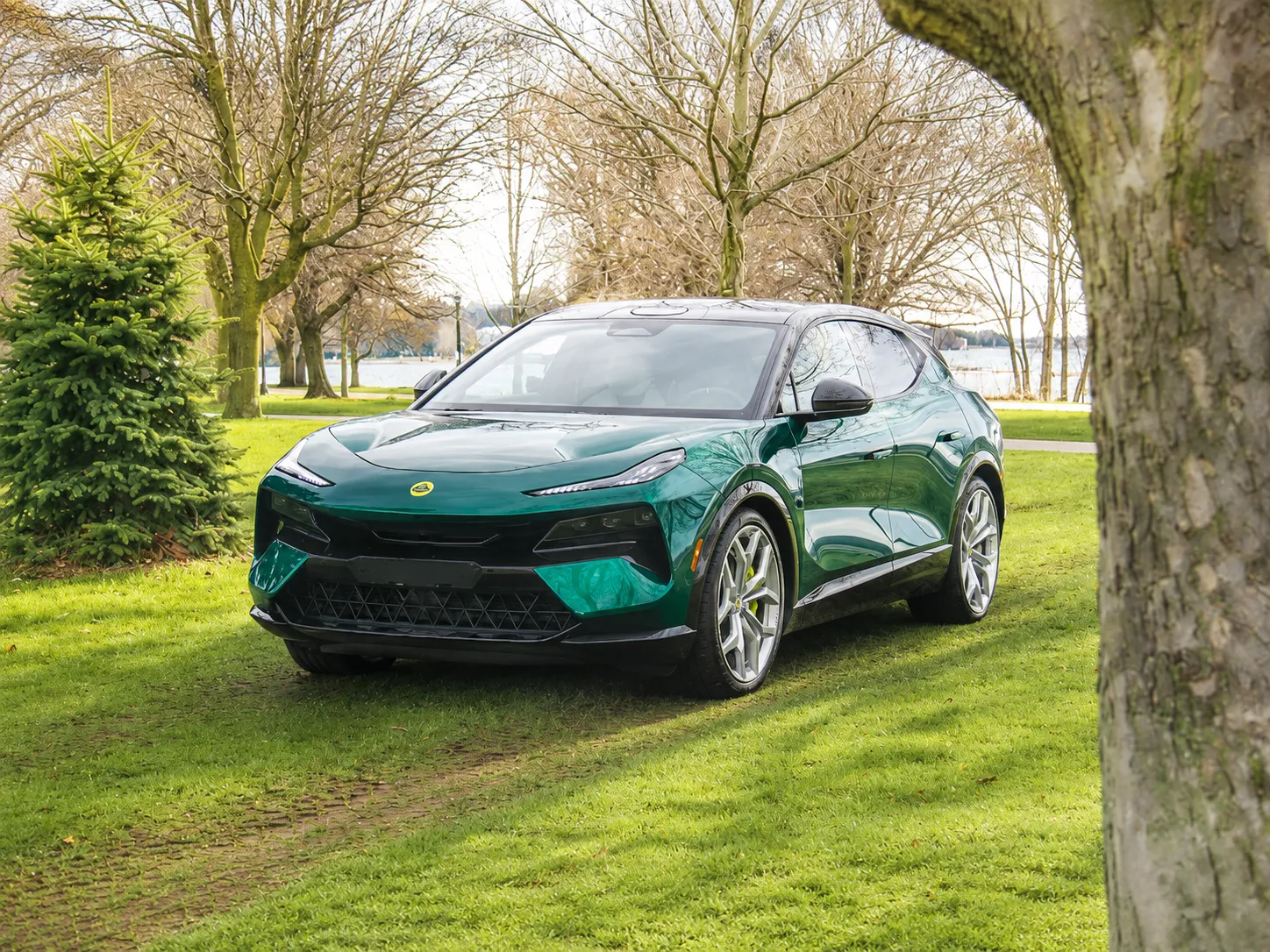Lotus2