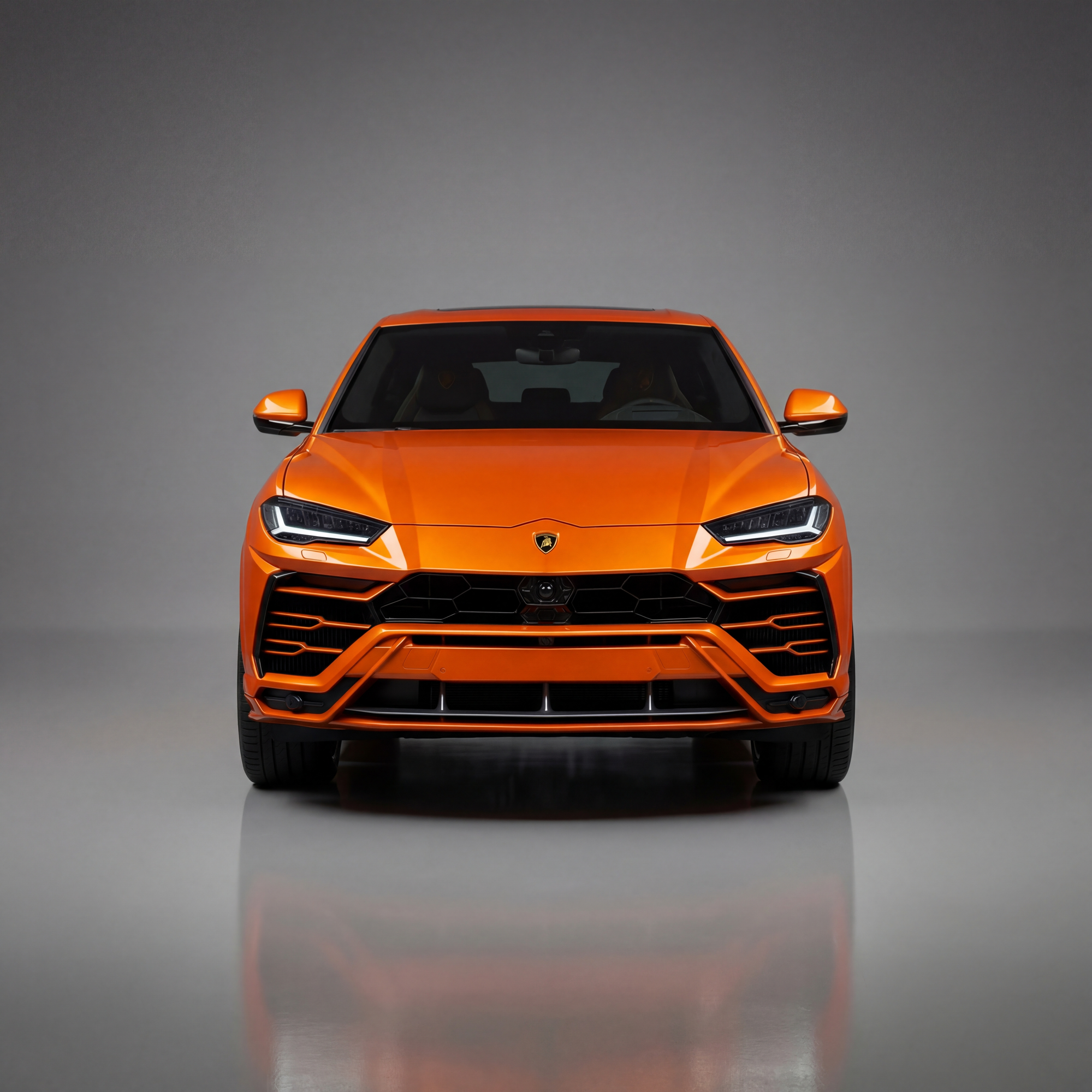 Urus
