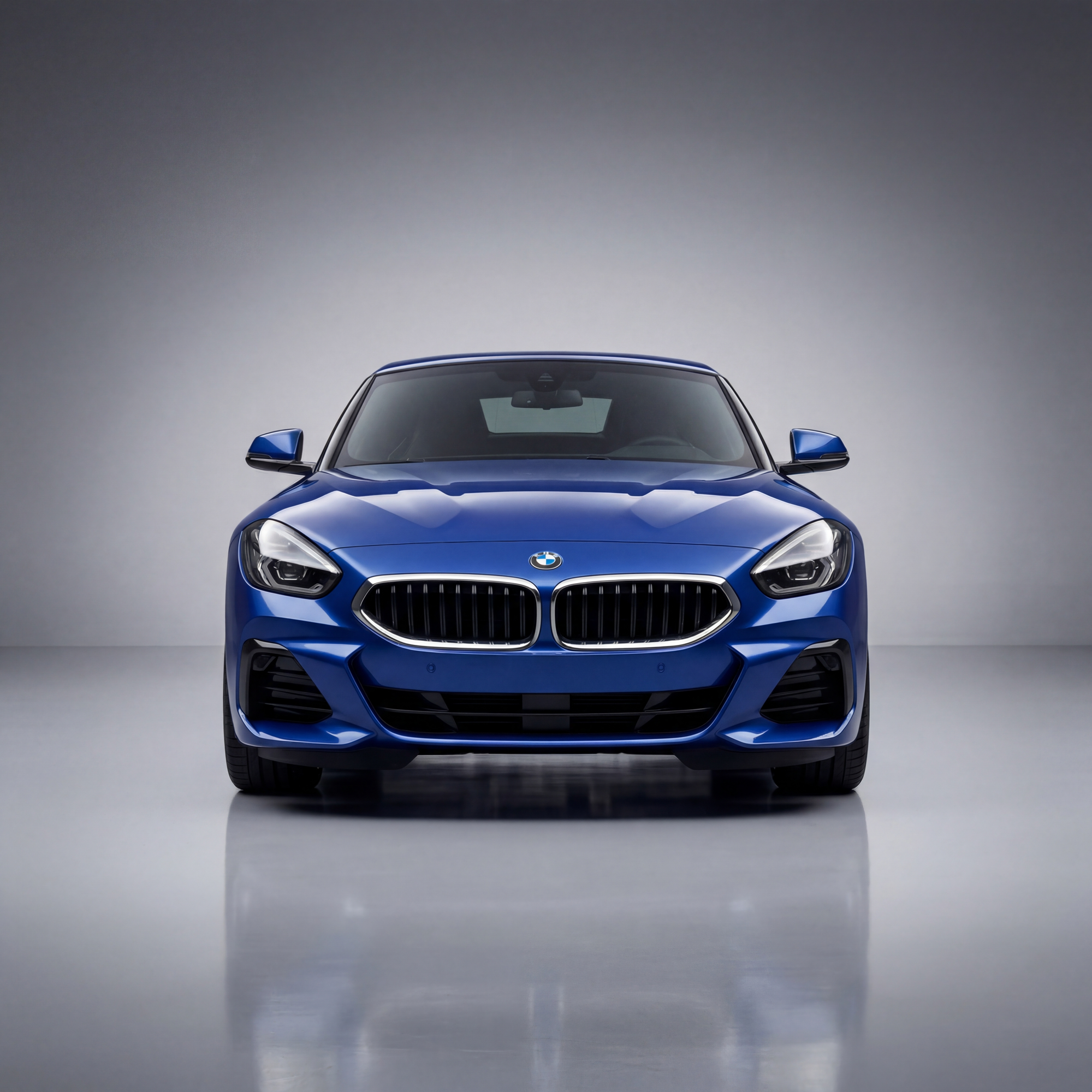 Z4