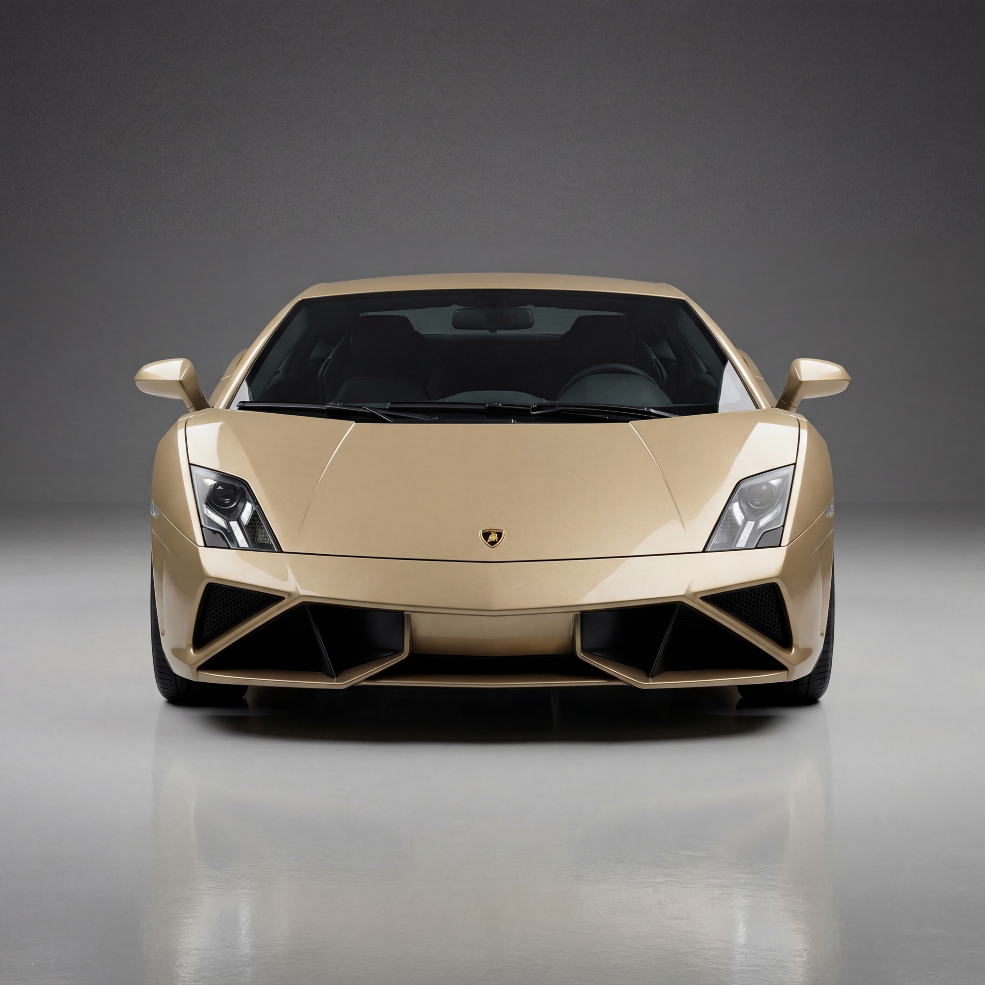 Gallardo