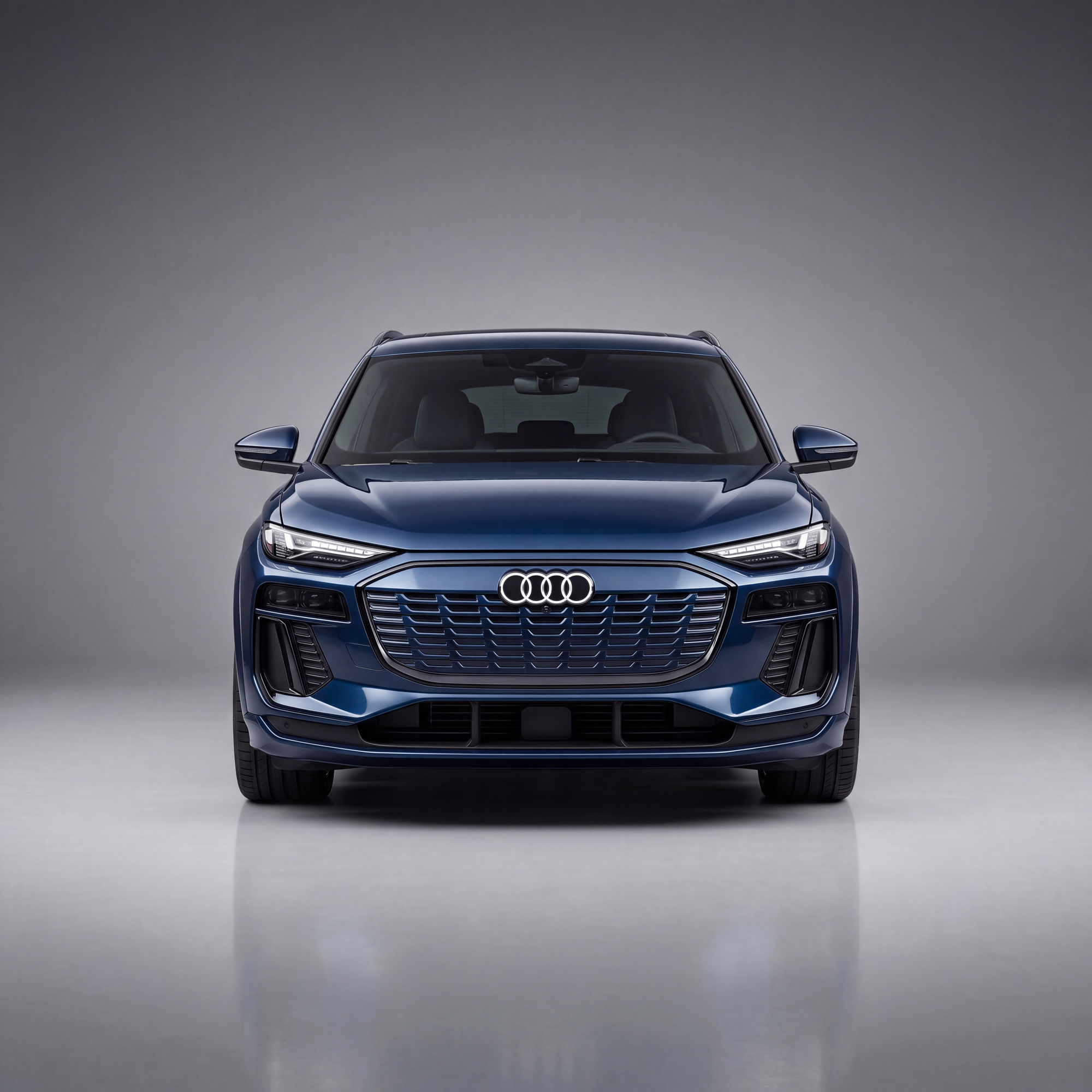 Q6 e-tron