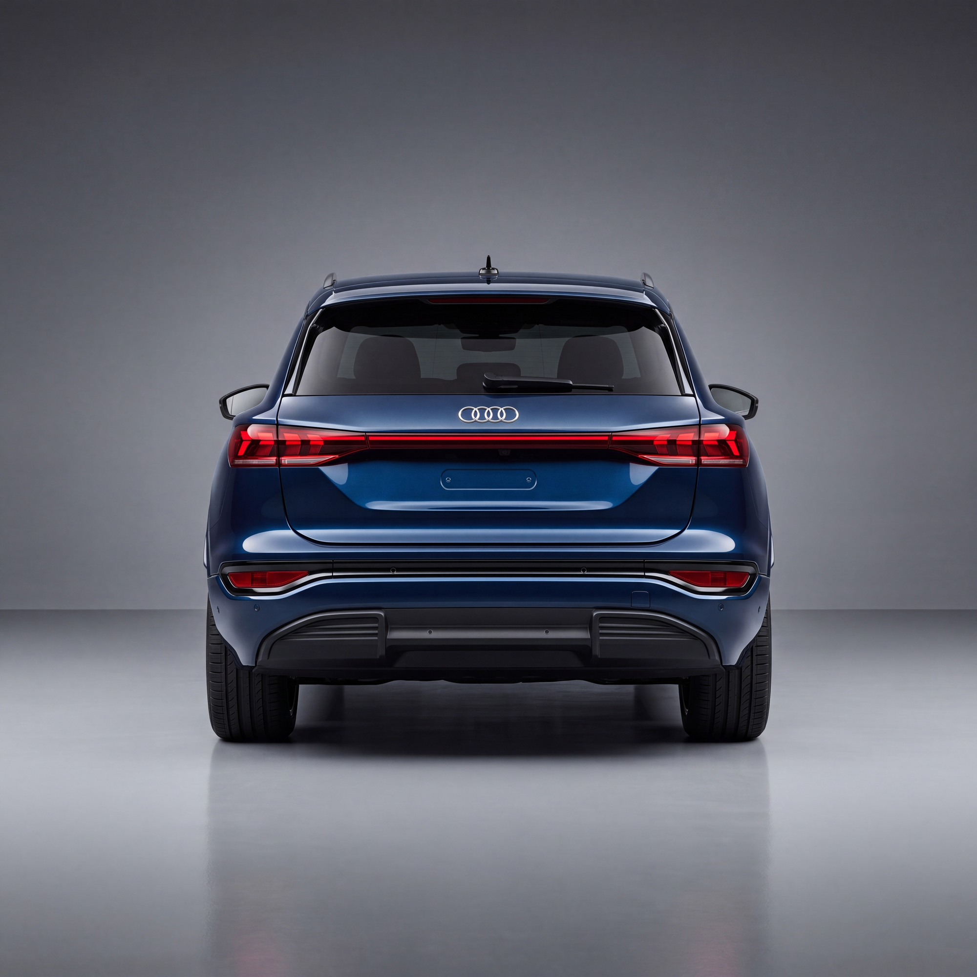 Q6 e-tron