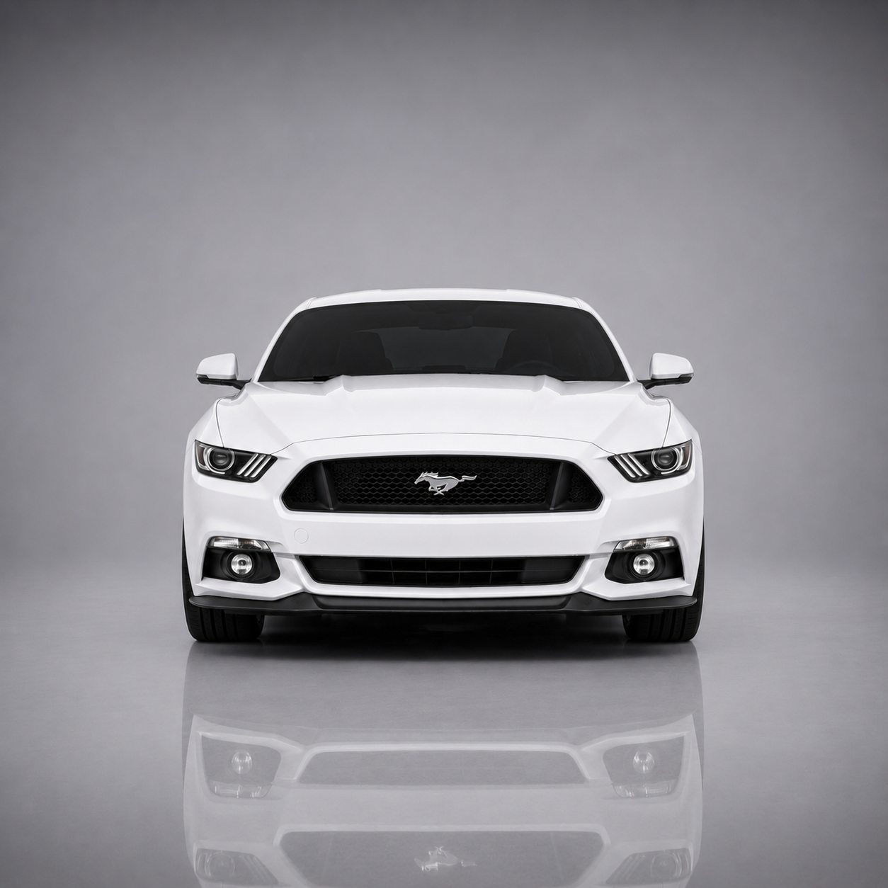 Mustang