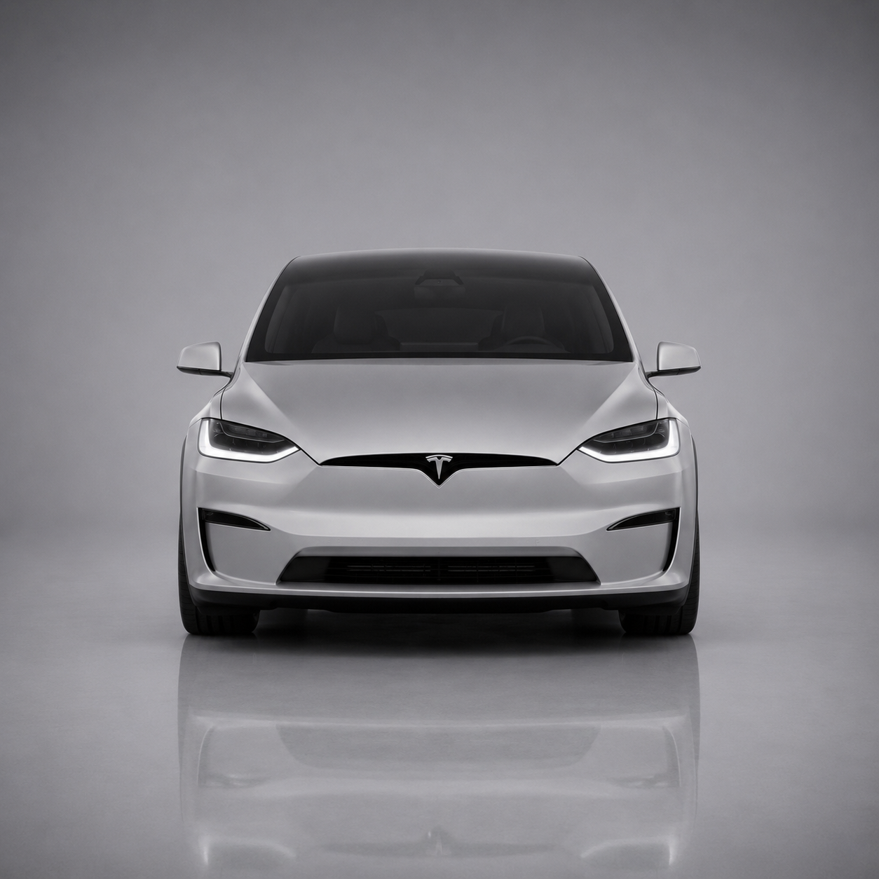 Model X