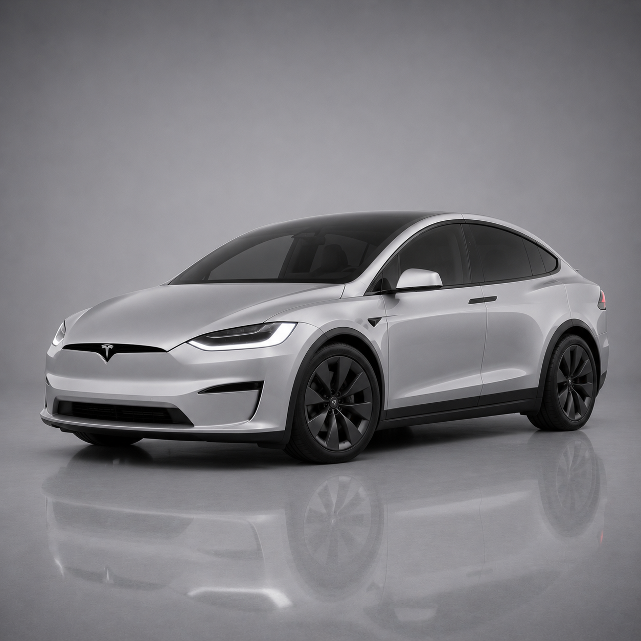 Model X