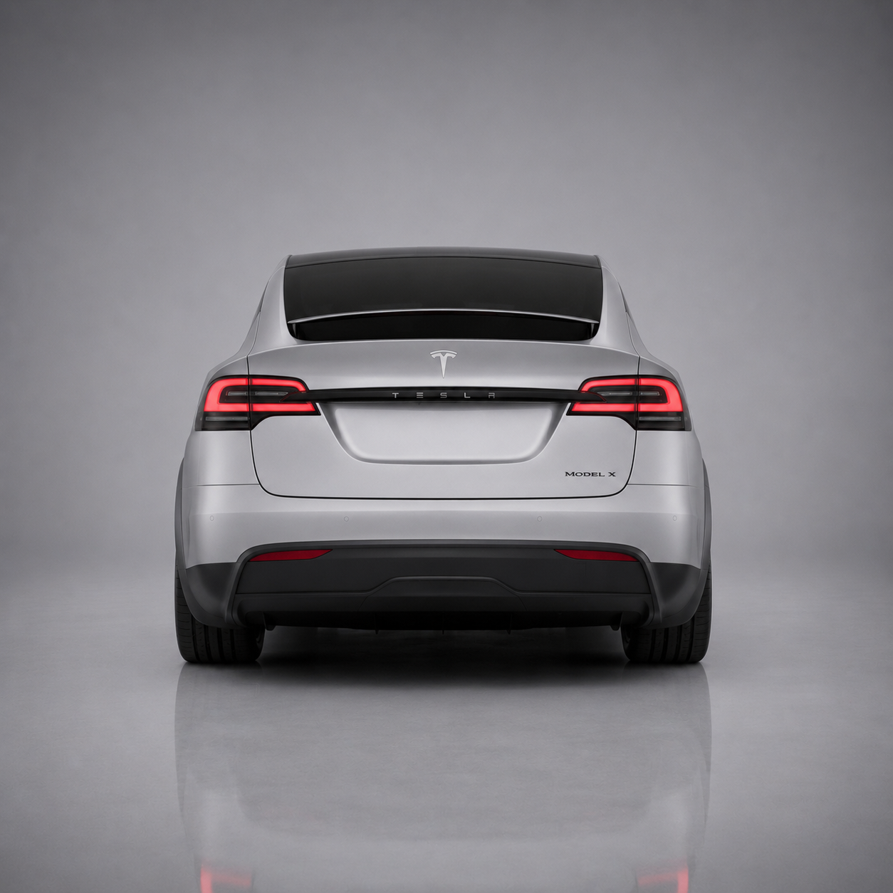 Model X