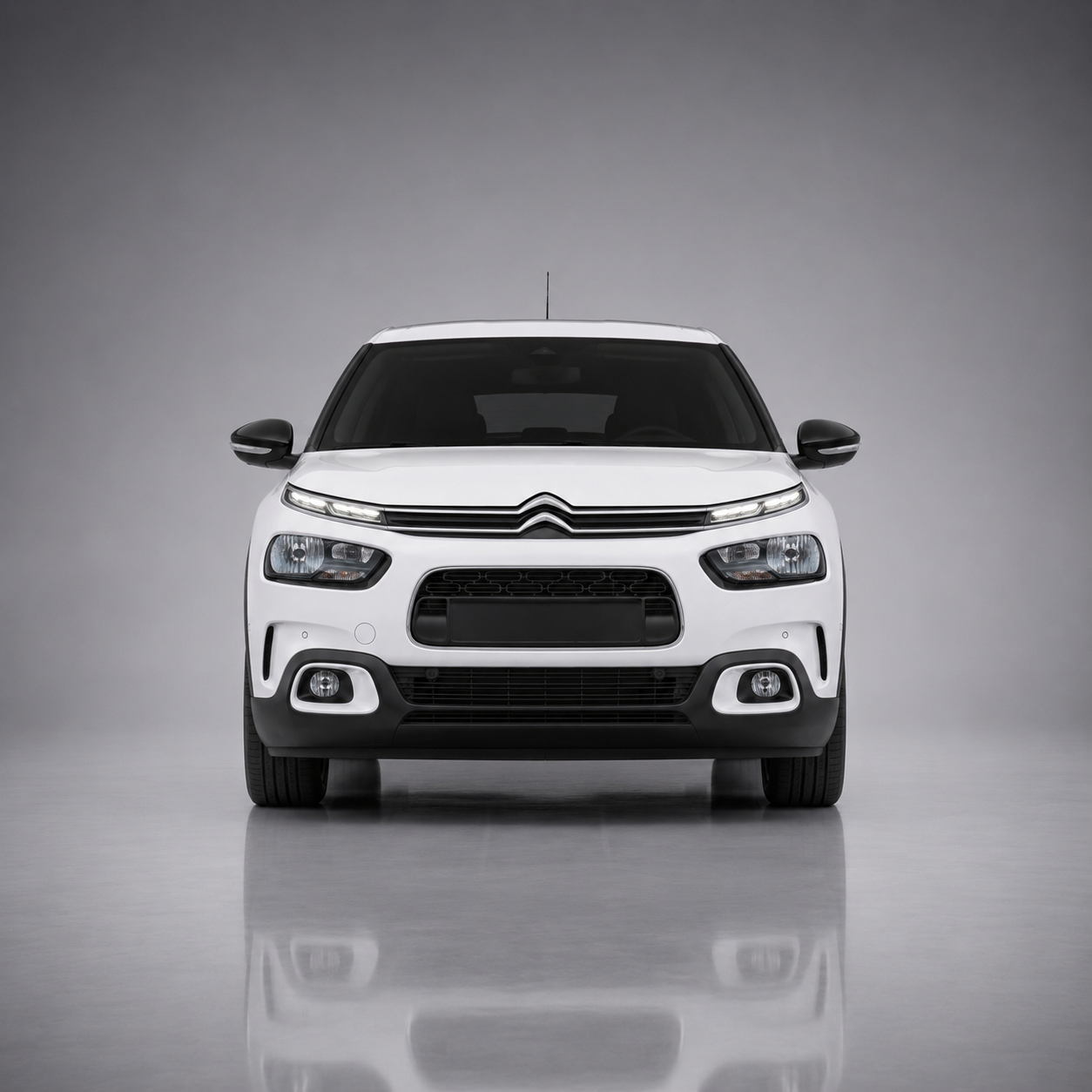 C4 Cactus