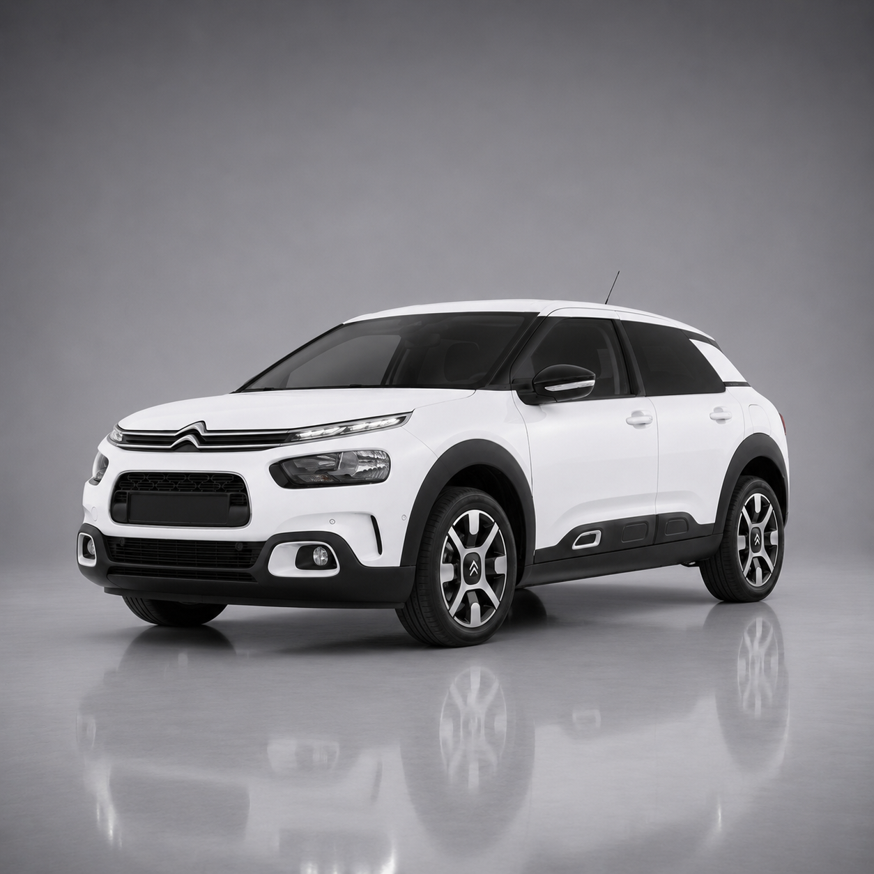 C4 Cactus