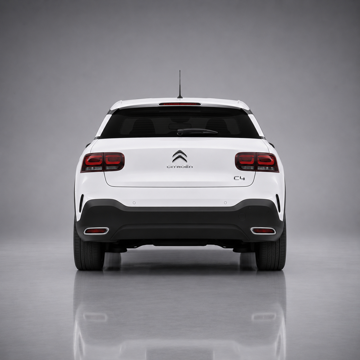 C4 Cactus